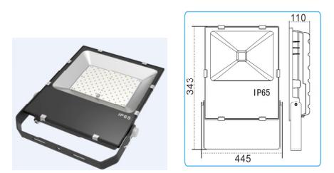 csfl-100